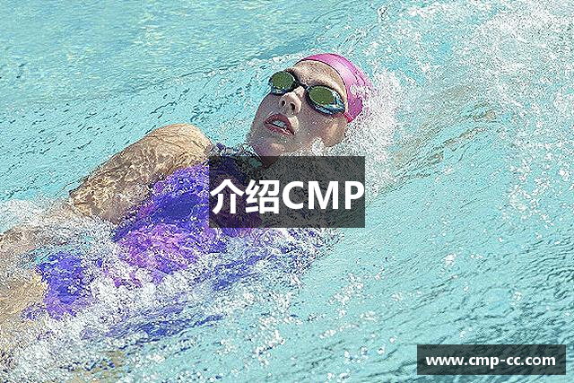 介绍CMP